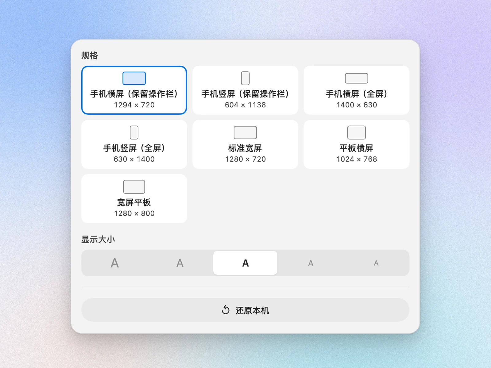 Better Remote 分辨率面板，列出内置的设备规格